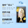 鲜京采【冰鲜】 万山岛金鲳鱼3斤/3条 地标产品 年货国产鱼类 源头直发 实拍图