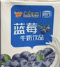 风行牛奶蓝莓风味牛奶饮品 200ml*24盒 风味牛奶量贩装团购 礼盒装送礼 实拍图