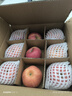 洛川苹果陕西延安特产红富士时令苹果水果礼盒送苹果生鲜新鲜脆甜整箱批发 5斤80-85mm（净重4.5斤）大果 实拍图