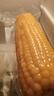 十月稻田 黄甜糯玉米 8根 3.52斤 真空包装 东北粘玉米棒 低脂早餐 实拍图