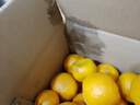 正宗云南宾川沃柑应季新鲜水果酸甜多汁整箱包邮 8斤装 实拍图