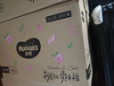 好奇（Huggies）铂金装小桃裤成长裤L120片(9-14kg)大号尿不湿拉拉裤【透爽散热】 实拍图