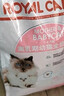 皇家幼猫奶糕 幼猫猫粮 BK34 通用粮 1-4月 2KG 实拍图