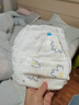 京东京造婴儿拉拉裤尿不湿纸尿裤Cloud云柔XL34片(12-17kg)超薄透气 实拍图