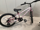 途锐达京东自营超轻自行车儿童6-12岁女孩单车小学生元旦礼物蜂鸟20寸粉 实拍图
