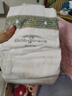 babycare皇室狮子王国弱酸纸尿裤加大号XL36片(12-17kg)婴儿尿不湿亲肤 实拍图