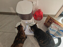 霍曼（Homerun）宠物智能自动喂食器猫粮定时猫咪自动投食机陶瓷双碗增高版PF20 实拍图