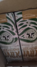荷高（Globemilk）荷兰原装进口3.7荷兰官方草饲全脂纯牛奶1L*6高钙早餐整箱送礼 实拍图