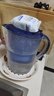 碧然德（BRITA） 家用滤水壶 净水壶滤芯 Maxtra 多效滤芯 6枚装 实拍图