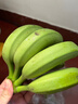 新鲜现摘高山香蕉青皮香蕉水果香蕉宗坤特产放熟吃 香蕉净重5斤 实拍图
