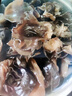 十月稻田 东北黑木耳 100g 肉厚无根 干木耳 黑龙江东宁特产 火锅煲汤凉拌 实拍图