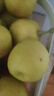 京鲜生 新疆库尔勒香梨 净重5斤 一级 单果100g-120g  生鲜水果 实拍图