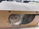 喵仙儿猫抓板猫窝一体瓦楞纸猫爪板立体网红猫咪用品 实拍图