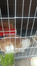 【京东快递】白色多层猫笼子超大空间家用猫窝猫睡玩一体猫咪折叠 双层【基础套餐】一层厕所+二层休息XL-84*61*67cm 实拍图