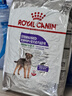 皇家狗粮 绝育成犬狗粮 犬粮宠物小型犬MSA30全价犬粮≥10月6.5KG 实拍图