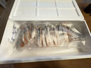 美威冷冻智利 三文鱼礼盒净重8斤 整条轮切礼盒 大西洋鲑鱼 送礼 实拍图