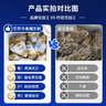 贝司令 鲜活乳山生态生蚝4XL 净重4斤 8-11只 生鲜源头直发年货送礼 实拍图