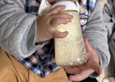 爱他美澳洲金装版新西兰原装进口婴儿粉优质DHA婴幼儿配方奶粉 【纯净奶源】澳洲金装2段 900g 实拍图