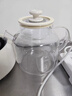 小质养生壶1.5L全玻璃花茶壶0胶水0金属恒温煮茶器办公室热牛奶神器保温壶家用烧水壶电热水壶YSH12A 实拍图