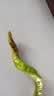 【东东买菜】新鲜薄皮肉厚香辣螺丝椒新鲜采摘青椒虎皮辣椒 新鲜螺丝椒净重3.6斤 实拍图