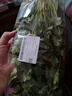 带根香菜100g 实拍图