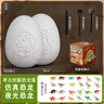 尚美贝贝儿童考古挖掘玩具恐龙蛋化石手工diy石膏盲盒玩具男女3-6新年礼物 实拍图