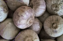 玉燕妃云南正宗新鲜紫皮独头大蒜独蒜干蒜 农家露天自种助农生鲜蔬菜 2.5-3cm紫皮独头干蒜净重2斤 实拍图