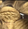 正宗猴头菇小饼干圆饼养胃解馋零食曲奇无蔗糖代餐小包装酥性整箱 猴头菇饼干 猴头菇饼干30包特价优惠 实拍图