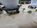 九千谷可移动花盆托盘带滑轮底座圆形植物接水盘4#黑色内径29.5cm 9140 实拍图