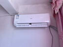长虹空调大1.5匹新一级省电熊猫懒空调挂机纯铜管国家补贴以旧换新KFR-35GW/ZDCSW1+R1(SE)十年包修 实拍图