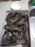 GUO LIAN国联 黑虎虾超大规格斑节虾无冰净重2斤 16-20只高虾青素年货送礼 实拍图