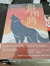 狼图腾 入选中学课堂精讲书目 全新修订版 俞敏洪 王俊凯 王芳推荐 重返狼群 实拍图