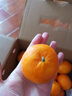 京鲜生 广西优级沃柑 净重5斤单果130g起 生鲜桔子水果年货礼盒 实拍图