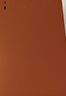 天色 A4/80页大容量资料册 加厚插页文件夹 多功能办公室收纳神器 试卷资料分科收纳袋 TS-1637 珊瑚橙 实拍图