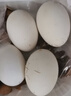 耕果妙新鲜大鹅蛋12枚3.12斤农家散养新鲜鹅蛋130-160g/枚 源头直发包邮 实拍图