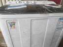 小鸭洗衣机半自动双桶双缸家用大容量小型租房宿舍波轮脱水甩干两用双杠省电老式强动力易操作以旧换新 13.5公斤 双缸 洗8.5+脱5 强劲电机终身联保 实拍图