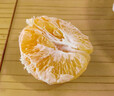 泰汇吃四川春见耙耙柑新鲜水果整箱孕妇橘子时令柑橘 净重4.5斤精选单果140g++ 实拍图