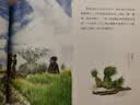 九神鹿绘本馆系列 ：盘中餐    暑期阅读 课外推荐   省钱卡 实拍图