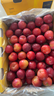京鲜生 智利进口樱桃李4J级5斤礼盒装 年货礼盒 送礼 新鲜水果 实拍图