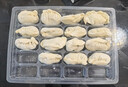 一次性饺子盒透明分格馄饨托盘水饺外卖打包盒餐盒冷冻饺子盒商用 20格透明饺子盒+加厚盖【5套】 实拍图