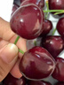 礼京果觅3J车厘子大樱桃新鲜车厘子大樱桃时令孕妇水果多地次日达车厘子 1斤(净重) 超大果 2J 28-30mm 实拍图