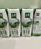 伊利金典纯牛奶整箱 250ml*16盒 3.6g乳蛋白 年货礼盒装 实拍图