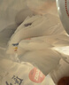 好奇（Huggies）金装纸尿裤S120片(4-8kg)尿不湿【速干不易红】 实拍图