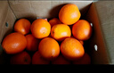 京鲜生 江西赣南脐橙橙子 净重8斤装 单果200g+ 水果年货礼盒 源头直发 实拍图
