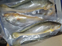 鲜京采 冷冻三去黄花鱼(宁德大黄鱼)1700g (5条装)  礼盒 生鲜海鱼  实拍图
