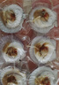獐子岛 冷冻蒜蓉粉丝扇贝400g 12只 虾夷扇贝 烧烤食材 海鲜 生鲜 实拍图
