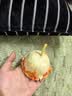 柏缇芦荟水嫩沐浴露持久留香补水保湿清洁去角质沐浴乳液650ml 实拍图