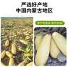 每果时光新货熟原味南瓜子仁瓜籽坚果炒货干果仁烘焙0添加健康休闲零食 【熟·原味】2斤：净重250g*4包 实拍图