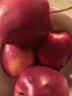 阿克苏苹果新疆阿克苏冰糖心苹果 当季应季新鲜时令水果整箱红富士丑苹果 10斤精品大果 单果80-85mm 净重8.5斤 实拍图