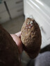 李宁筋膜枪按摩器专业级mini肌肉按摩器家用健身迷你便携运动颈膜枪 实拍图